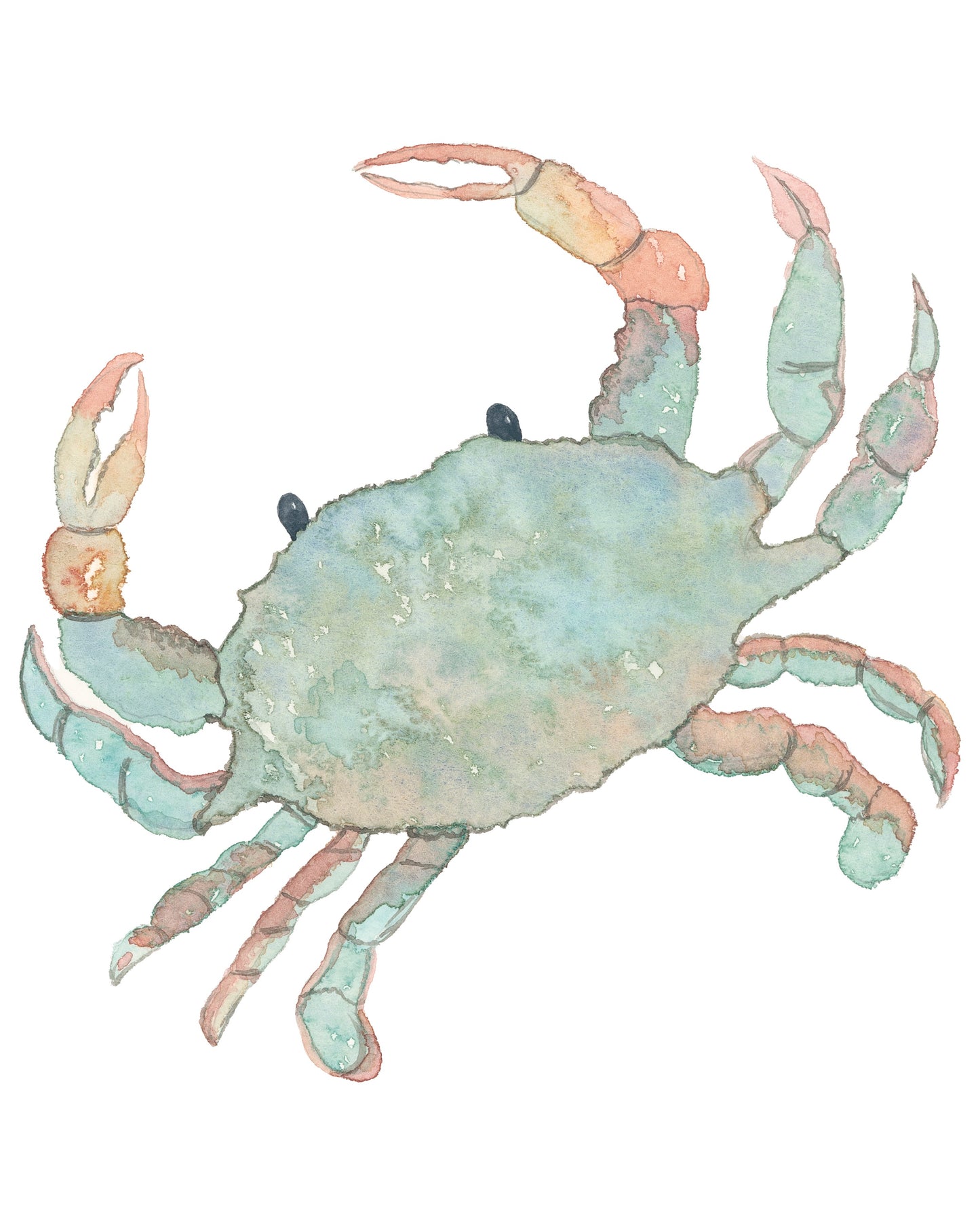 Blue Crab Download