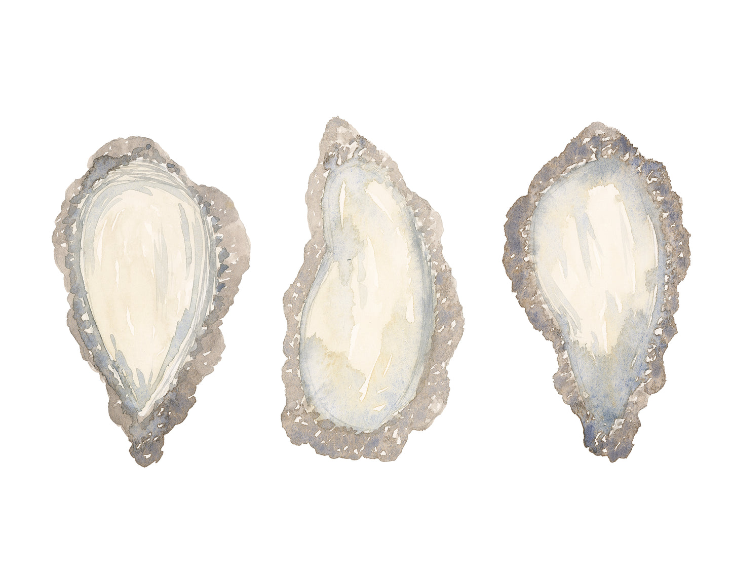 Oyster Shells Trio Print