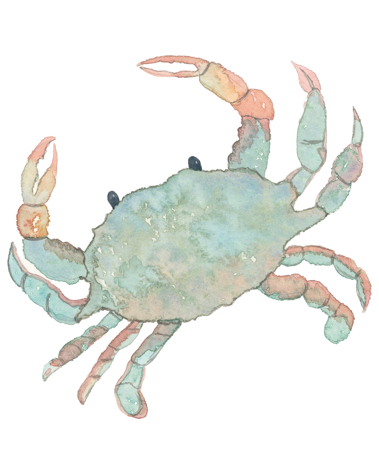 Blue Crab Print