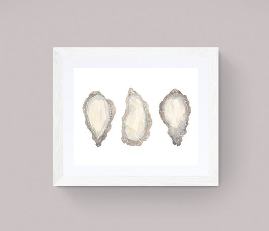 Oyster Shells Trio Print